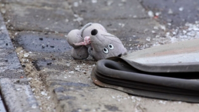 ДТП в Харькове: четырехлетний мальчик оказался под колесами машины