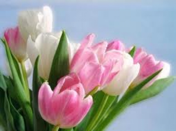 В Дзержинском районе поздравляли женщин