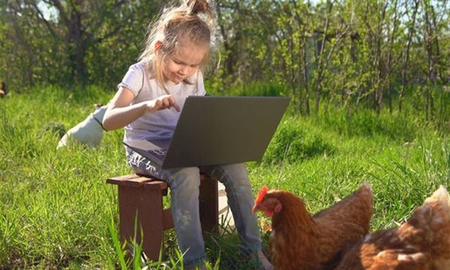 Свыше двухсот сел в области подключат к интернету