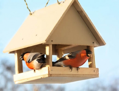 Школьники смастерили 80 кормушек