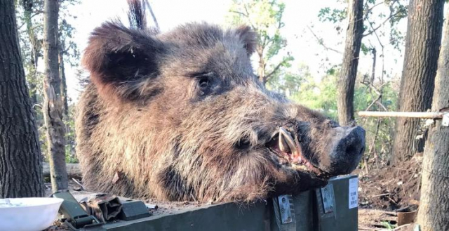 Убегая с харьковской земли, оккупанты бросали все наворованное и целую технику