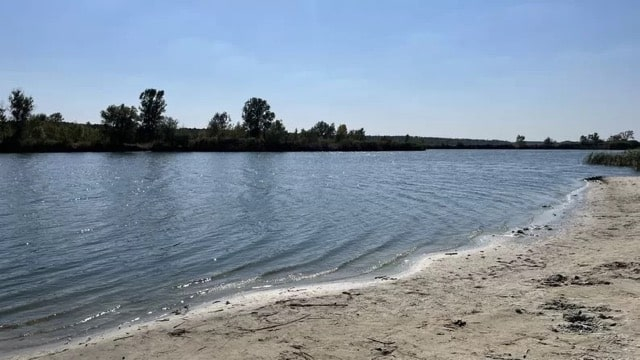 В двух реках на территории Харьковшины обнаружен холерный вибрион