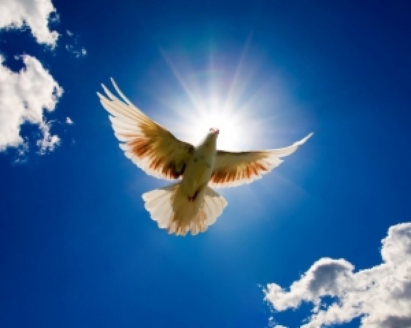 В Харькове прошел конкурс творческих работ молодежи