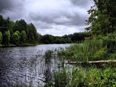 В области станет больше заповедных зон