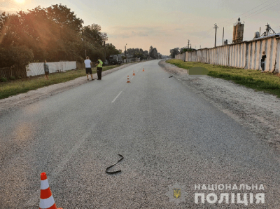 Водитель, сбивший женщину и уехавший с места ДТП, предстанет перед судом