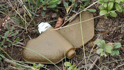 В Изюмском районе двое мужчин пострадали от противопехотных мин