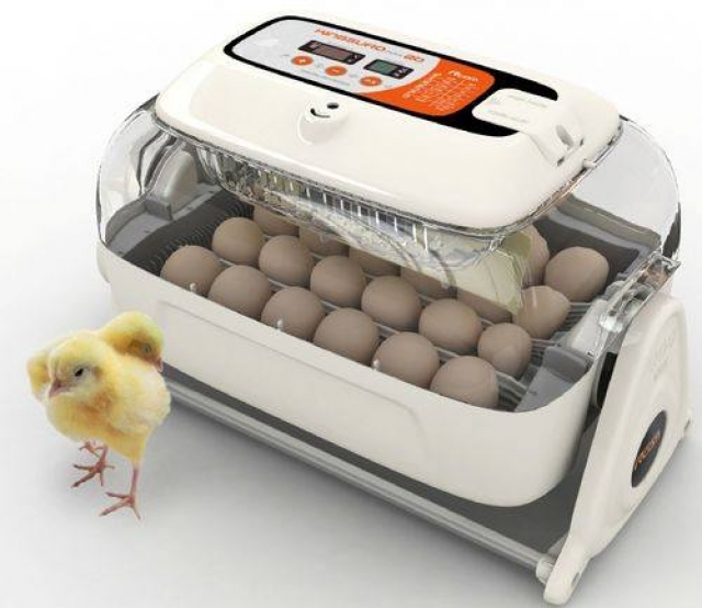 Бытовой инкубатор для яиц: какой выбрать и как пользоваться