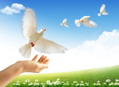 В Харькове отпраздновали День мира