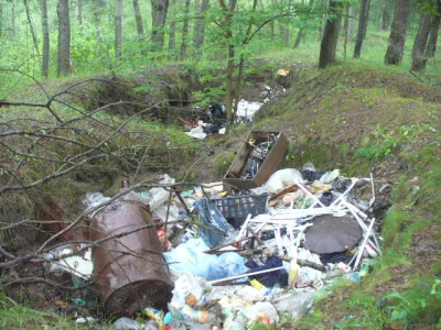 Харьковские леса заставят мусорками 