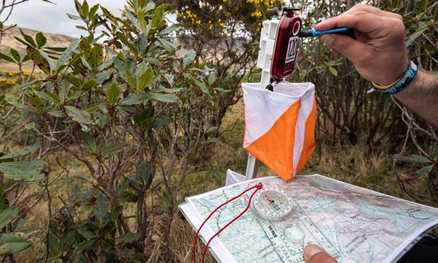 Харьковские спортсмены завоевали медали на чемпионате Украины по спортивному ориентированию