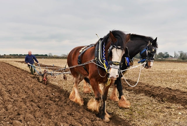 Мінітрактор або важкий мотоблок: що обрати, особливості, плюси та мінуси