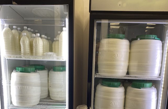 В Гусаровке открылось производство сыра и мороженого