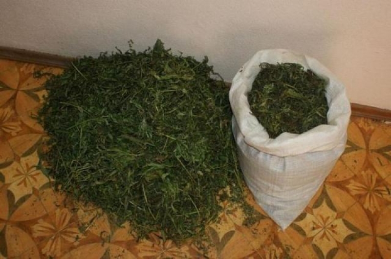 Около 50 кг. конопли изъято у жителя Харьковщины