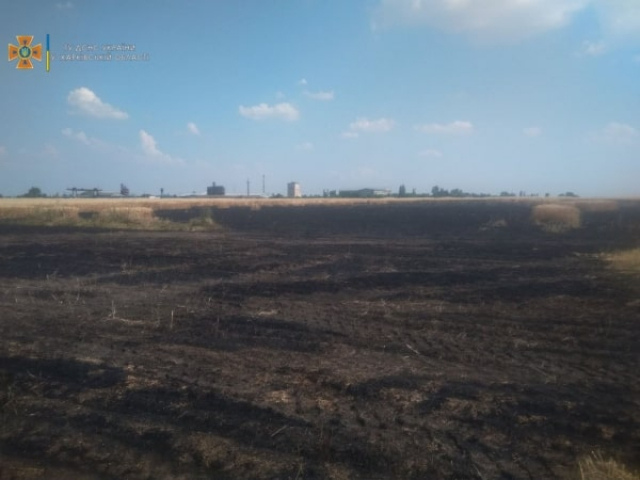 Пожарные спасли пшеничное поле в Лозовском районе