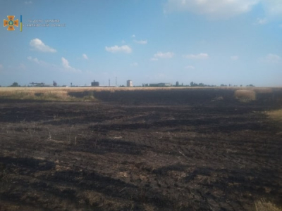 Пожарные спасли пшеничное поле в Лозовском районе