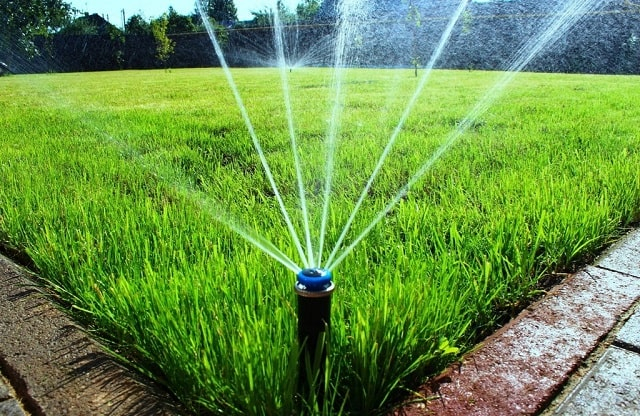 Датчик дождя для системы полива: что это такое, применение, как работает