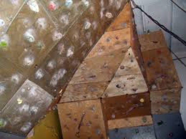 Финалисты школы лидерства учились скалолазанию