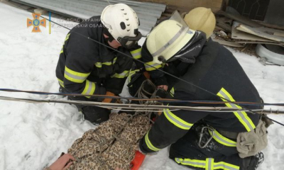 В Харькове из окна 5-го этажа сорвался мужчина – он упал на крышу магазина