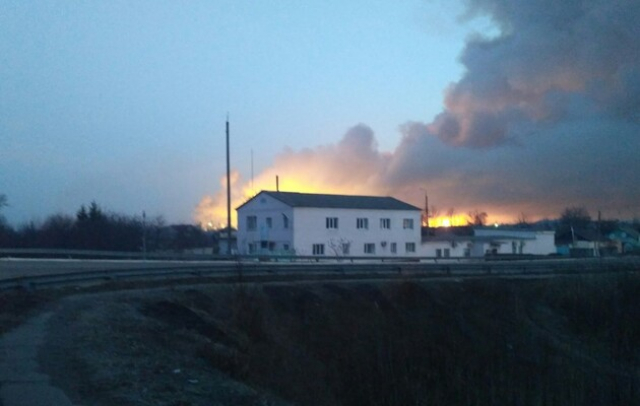 Аферисты выманивают деньги на спасение харьковского зоопарка