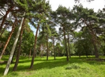 В Сосновой горке проводят капитальный ремонт