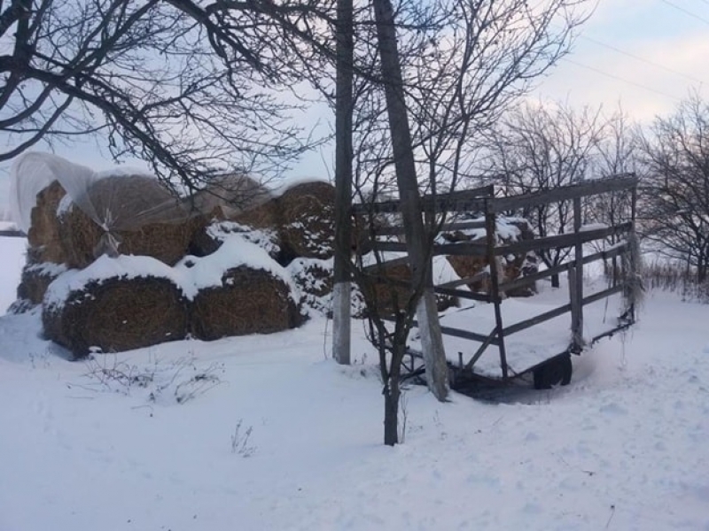 Мать 2-месячного младенца хотела отдохнуть и подкинула малыша соседям