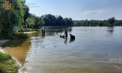 В Петренковском озере на глазах у матери утонул подросток