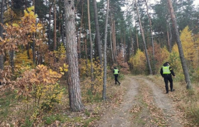 Пожилая женщина выжила в лесу без воды и еды - ее нашли на пятый день