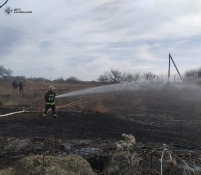 В Ковшаровке пожарные спасли дома и лес от пожара
