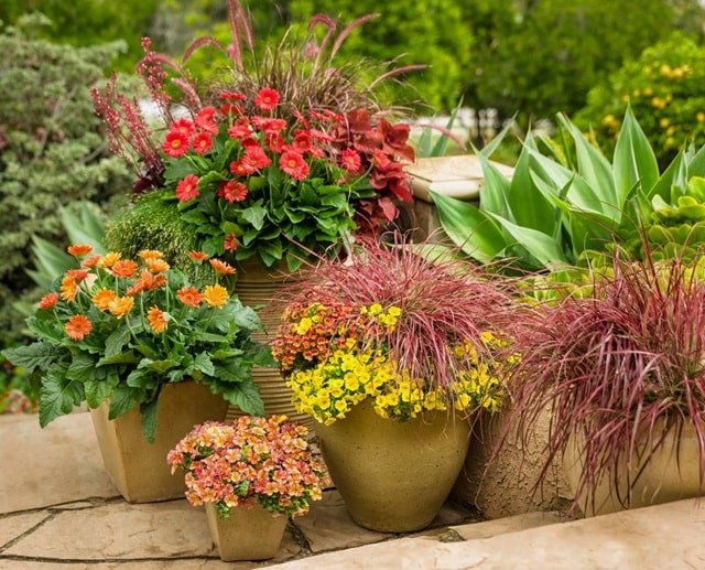 Вазони для квітів: поради щодо вибору