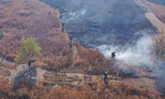 В Волчанском районе у военного полигона загорелся лес