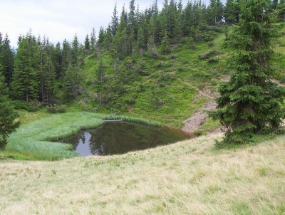 Харьковчане заблудились на границе