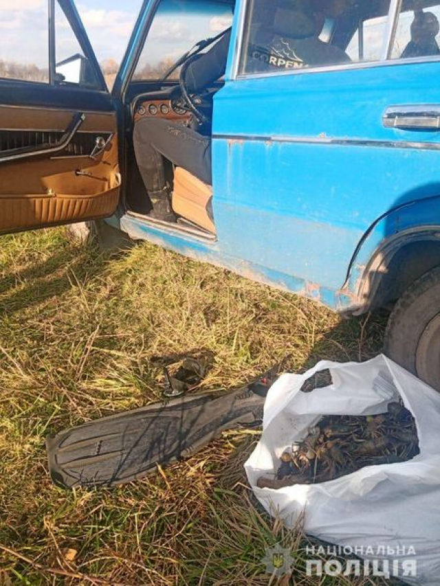 Дайвер в Чугуевском районе наловил раков почти на 900 000 гривен