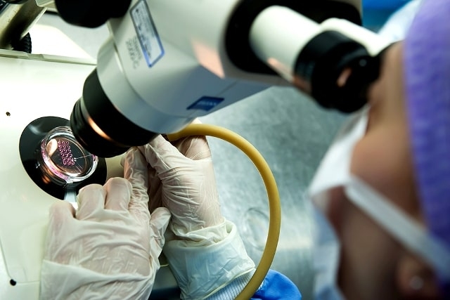 Предимплантационная генетическая диагностика: что это такое и когда необходимо