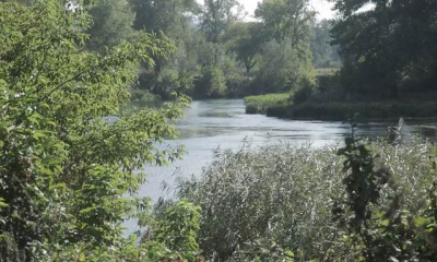 Качество воды в Харькове и на территории области ухудшится – гидрометцентр