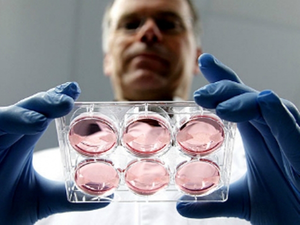 В Харькове изобрели биорастворимую пленку