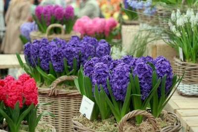 Харьков заиграет новыми красками