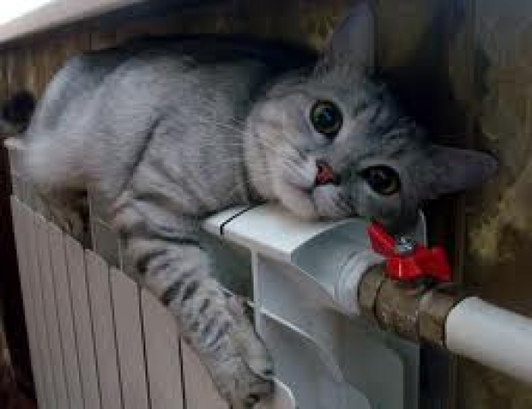 Зимой в многоэтажных зданиях будет теплее