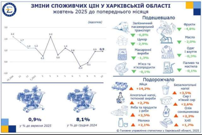 С начала года в Харькове на 8,1% выросли цены на продукты питания