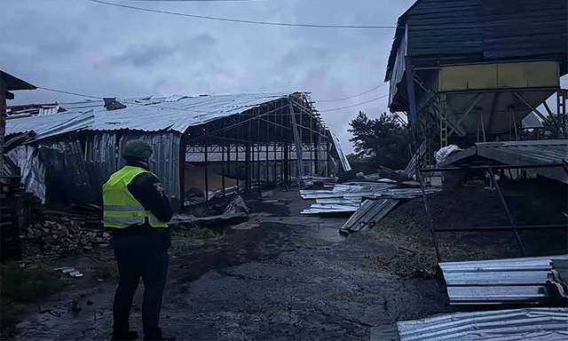 Россияне ударили БПЛА «Герань-2» по селу Рясное – на местном предприятии погибли животные