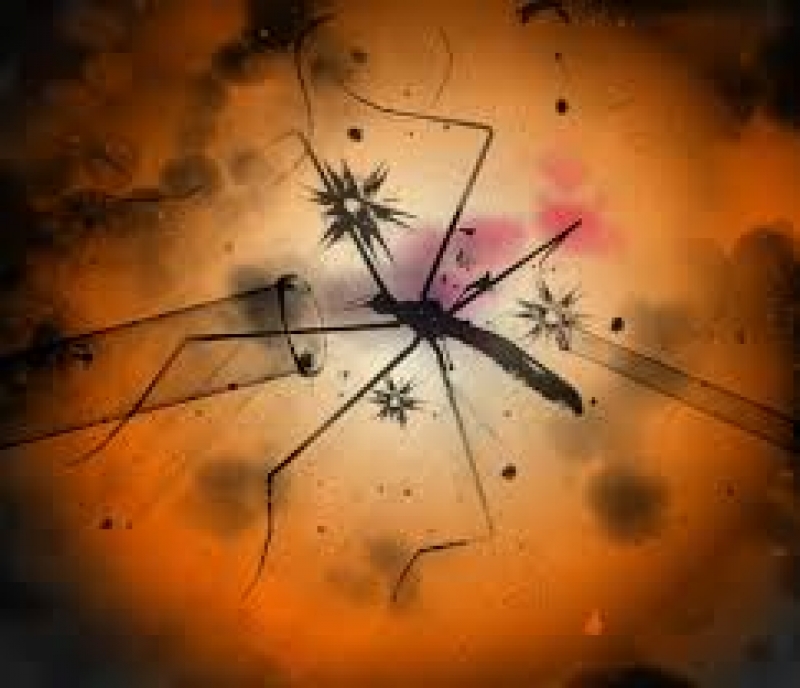 Приехав в Харьков на подготовительные курсы, иностранец угодил в больницу