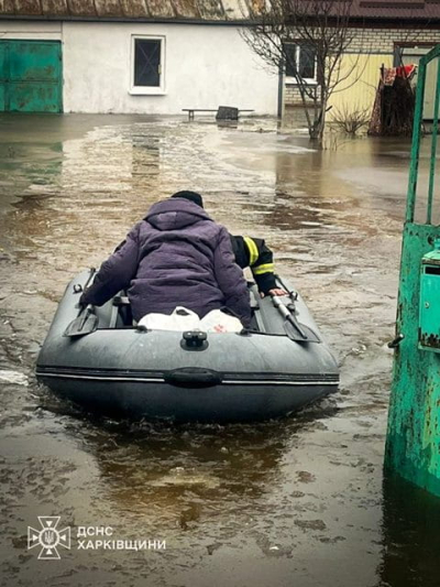В селе Васищево эвакуировать семью из затопленного дома пришлось на лодке