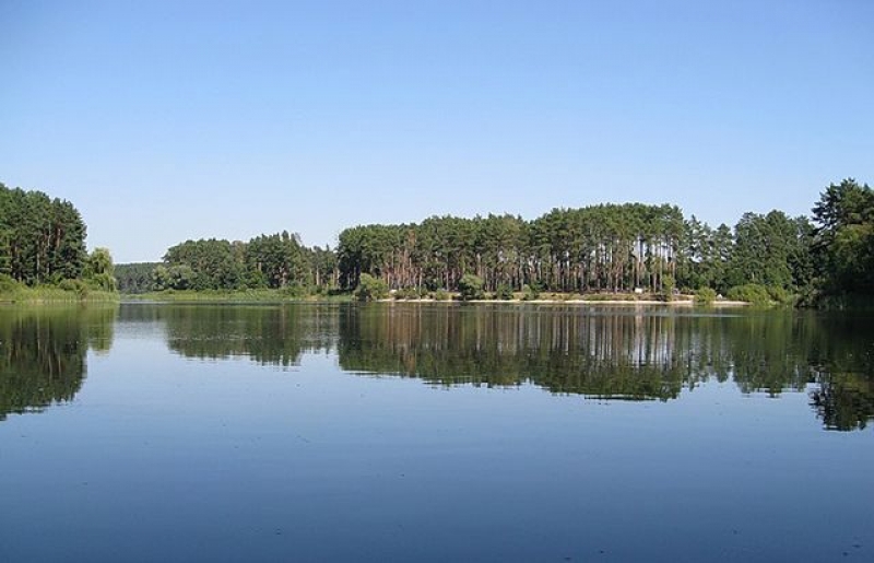 На берегу Печенежского водохранилища обнаружен опасный вирус