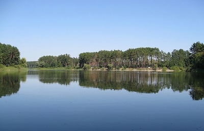 На берегу Печенежского водохранилища обнаружен опасный вирус