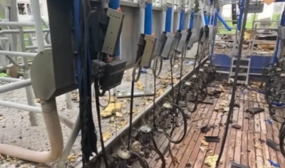 В Гусаровке возрождается молочная ферма