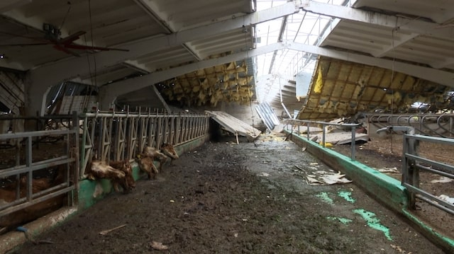 В Шестаково россияне уничтожили крупное фермерское хозяйство