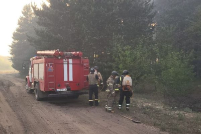 Российский артиллерийский обстрел спровоцировал лесной пожар