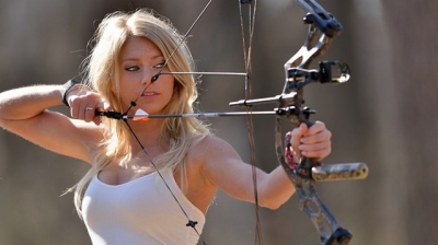 Блочный лук – какой выбрать: особенности, применение, цены