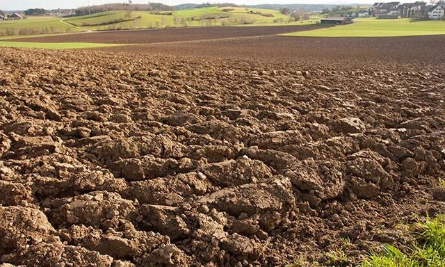 Прокуратура через суд прекратила незаконную аренду земельного участка