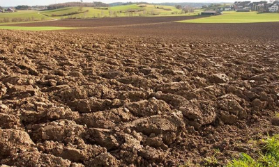 Прокуратура через суд прекратила незаконную аренду земельного участка