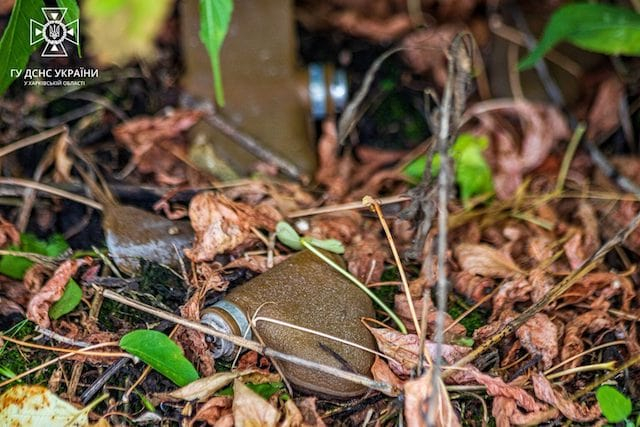 В лесу у села Оскол на мине «Лепесток» подорвался мужчина